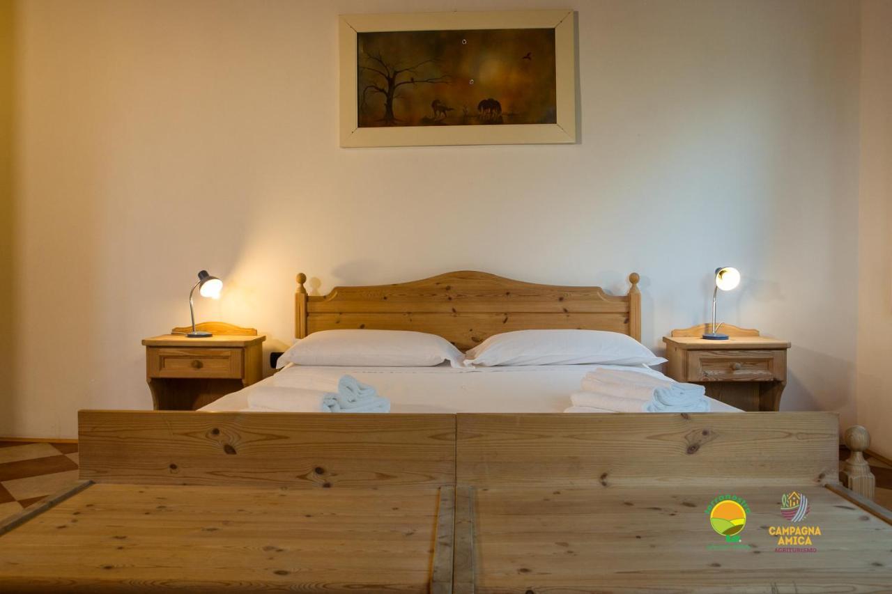 Appartement La Via Antiga à Cittanova  Extérieur photo